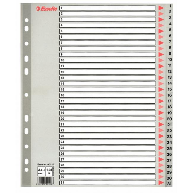 [ES100127] Plastový rozraďovač Esselte 1-31 maxi sivý