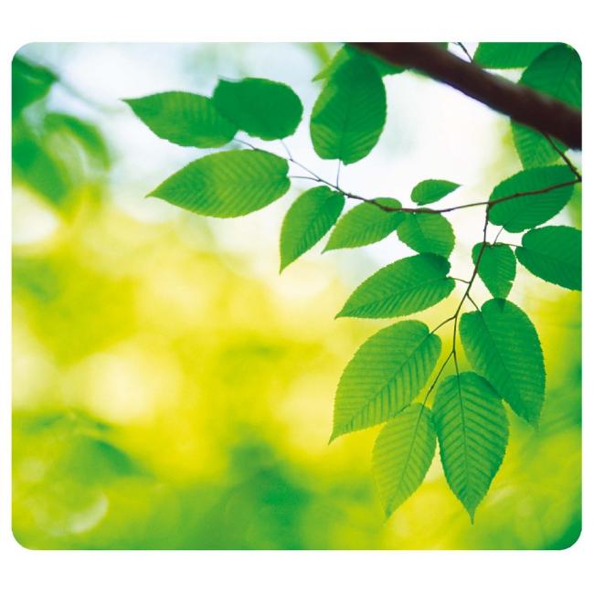 [FE590380] Podložka pod myš Listy