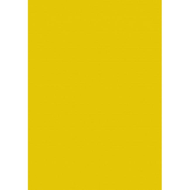 [HL227256] Výkresy Herlitz 50 x 70 cm, 10 hárkov, 300 g, farba tmavožltá